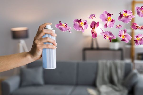 air-freshner-917861_l